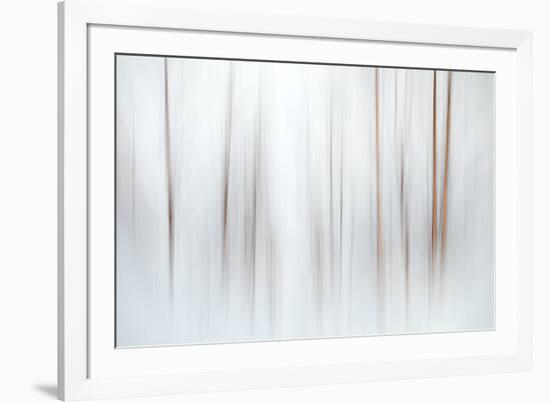 Fog-Ursula Abresch-Framed Photographic Print