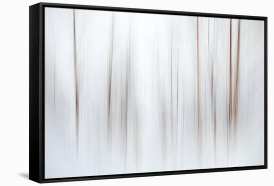 Fog-Ursula Abresch-Framed Stretched Canvas