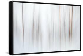 Fog-Ursula Abresch-Framed Stretched Canvas