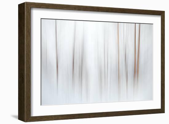 Fog-Ursula Abresch-Framed Photographic Print