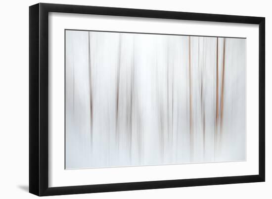 Fog-Ursula Abresch-Framed Photographic Print