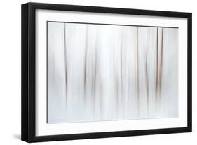 Fog-Ursula Abresch-Framed Photographic Print