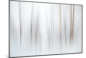 Fog-Ursula Abresch-Mounted Photographic Print