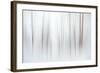 Fog-Ursula Abresch-Framed Photographic Print