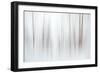 Fog-Ursula Abresch-Framed Premium Photographic Print