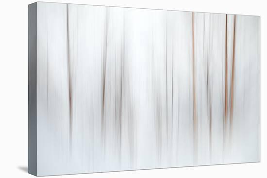 Fog-Ursula Abresch-Stretched Canvas