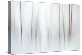 Fog-Ursula Abresch-Stretched Canvas