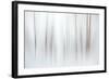 Fog-Ursula Abresch-Framed Premium Photographic Print