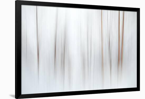 Fog-Ursula Abresch-Framed Photographic Print