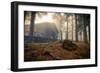 Fog-Giuseppe Torre-Framed Photographic Print