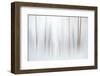 Fog-Ursula Abresch-Framed Premium Photographic Print