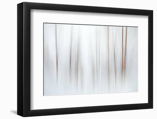 Fog-Ursula Abresch-Framed Premium Photographic Print