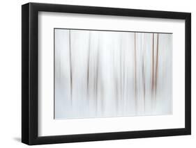 Fog-Ursula Abresch-Framed Premium Photographic Print