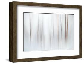 Fog-Ursula Abresch-Framed Photographic Print