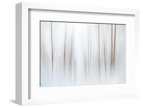 Fog-Ursula Abresch-Framed Photographic Print