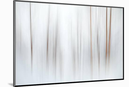 Fog-Ursula Abresch-Mounted Photographic Print