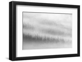 Fog-Ursula Abresch-Framed Photographic Print