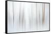 Fog-Ursula Abresch-Framed Stretched Canvas