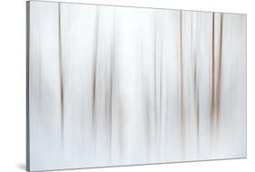 Fog-Ursula Abresch-Stretched Canvas