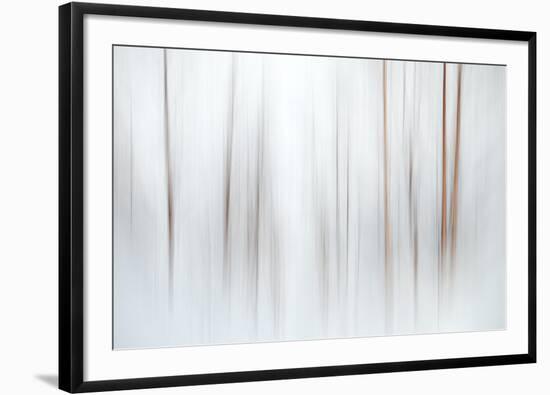 Fog-Ursula Abresch-Framed Photographic Print