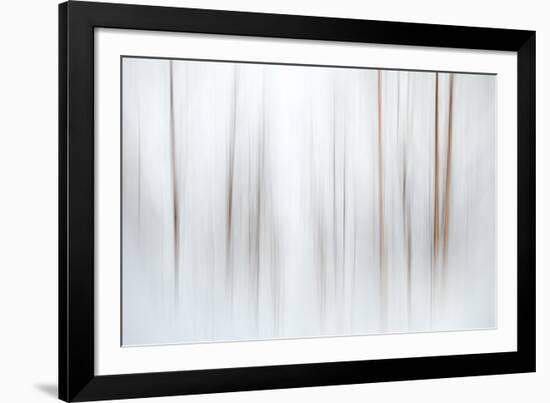 Fog-Ursula Abresch-Framed Photographic Print