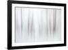 Fog-Ursula Abresch-Framed Photographic Print