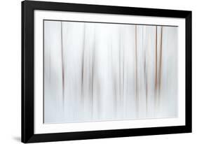 Fog-Ursula Abresch-Framed Photographic Print