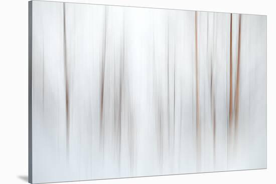 Fog-Ursula Abresch-Stretched Canvas