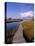Fogers Island Walkway, Ocean City, Maryland, USA-Bill Bachmann-Stretched Canvas