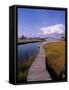 Fogers Island Walkway, Ocean City, Maryland, USA-Bill Bachmann-Framed Stretched Canvas