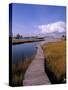 Fogers Island Walkway, Ocean City, Maryland, USA-Bill Bachmann-Stretched Canvas