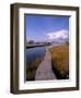 Fogers Island Walkway, Ocean City, Maryland, USA-Bill Bachmann-Framed Photographic Print