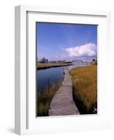 Fogers Island Walkway, Ocean City, Maryland, USA-Bill Bachmann-Framed Photographic Print