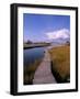 Fogers Island Walkway, Ocean City, Maryland, USA-Bill Bachmann-Framed Photographic Print