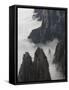 Fogged In-Art Wolfe-Framed Stretched Canvas