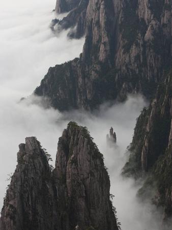 'Fogged In' Photographic Print - Art Wolfe | AllPosters.com