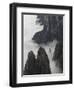 Fogged In-Art Wolfe-Framed Photographic Print