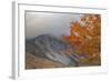 Foggy Autumn Design at White Mountain, New Hampshire-Vincent James-Framed Photographic Print