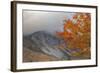 Foggy Autumn Design at White Mountain, New Hampshire-Vincent James-Framed Photographic Print