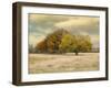 Foggy Autumn Morning-Jai Johnson-Framed Giclee Print