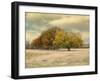 Foggy Autumn Morning-Jai Johnson-Framed Giclee Print