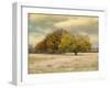 Foggy Autumn Morning-Jai Johnson-Framed Giclee Print