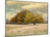 Foggy Autumn Morning-Jai Johnson-Mounted Giclee Print