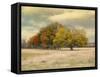 Foggy Autumn Morning-Jai Johnson-Framed Stretched Canvas