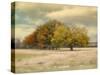 Foggy Autumn Morning-Jai Johnson-Stretched Canvas