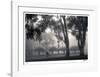 Foggy Commute-Donald Satterlee-Framed Giclee Print