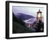 Foggy Day at the Heceta Head Lighthouse, Oregon, USA-Janis Miglavs-Framed Premium Photographic Print