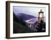 Foggy Day at the Heceta Head Lighthouse, Oregon, USA-Janis Miglavs-Framed Photographic Print