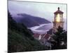 Foggy Day at the Heceta Head Lighthouse, Oregon, USA-Janis Miglavs-Mounted Photographic Print