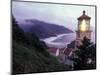 Foggy Day at the Heceta Head Lighthouse, Oregon, USA-Janis Miglavs-Mounted Photographic Print